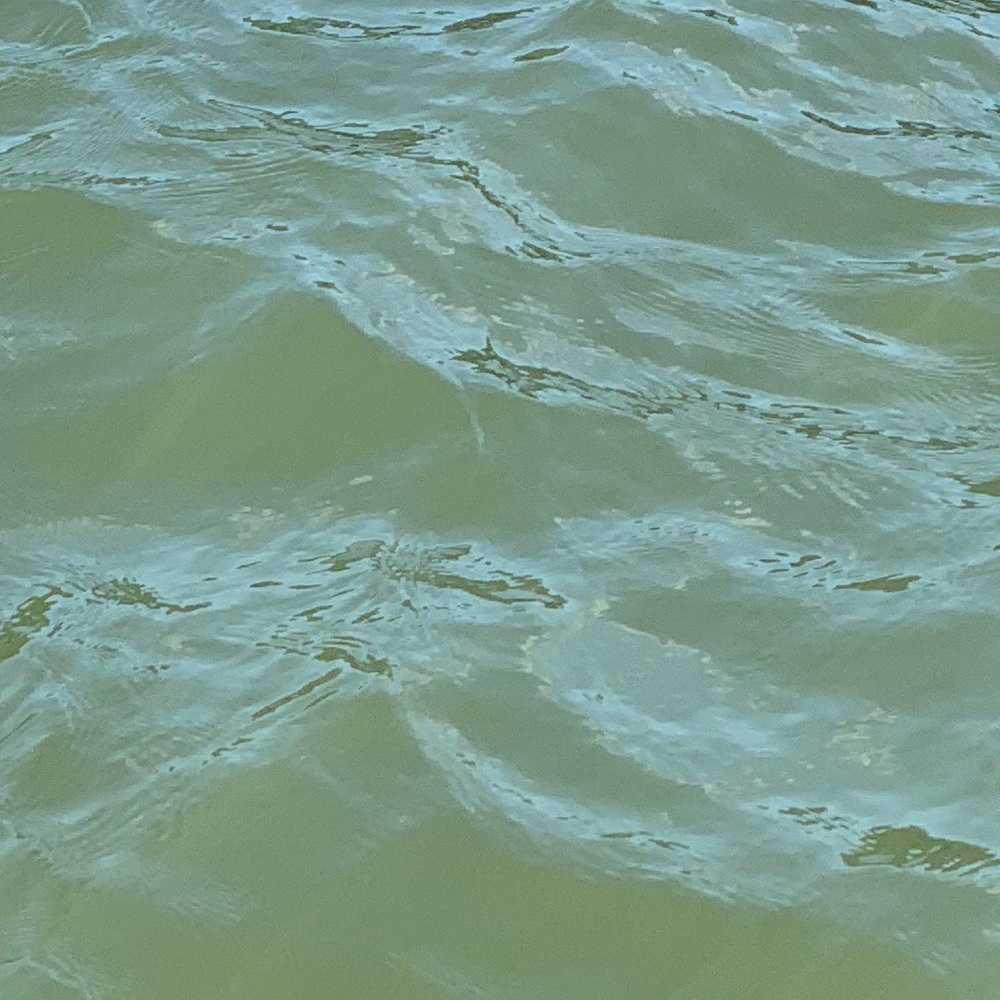 Meet your Posher, Hayden